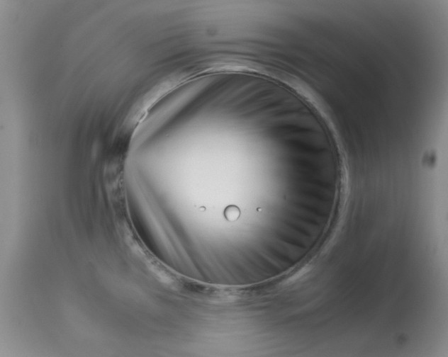 X0000113221385200910221115