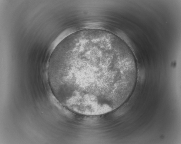 X0000113221386200910221115