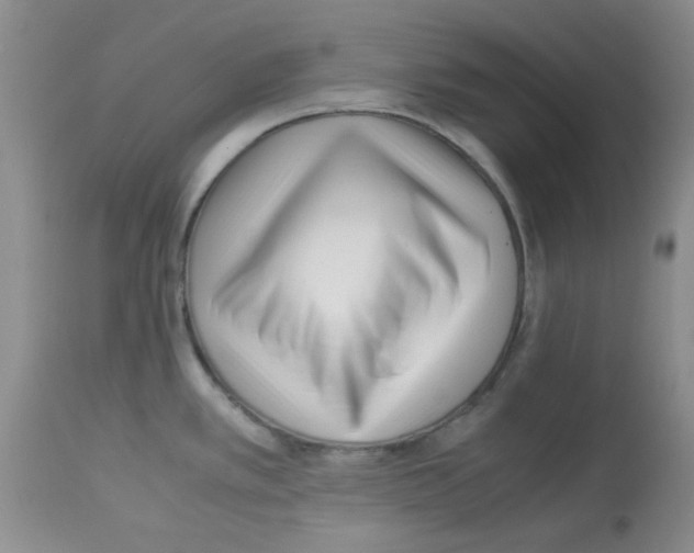 X0000113221389200910221115
