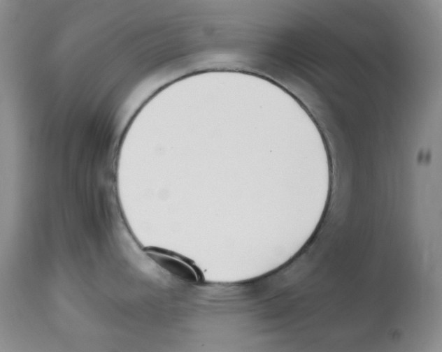 X0000113221392200910221115