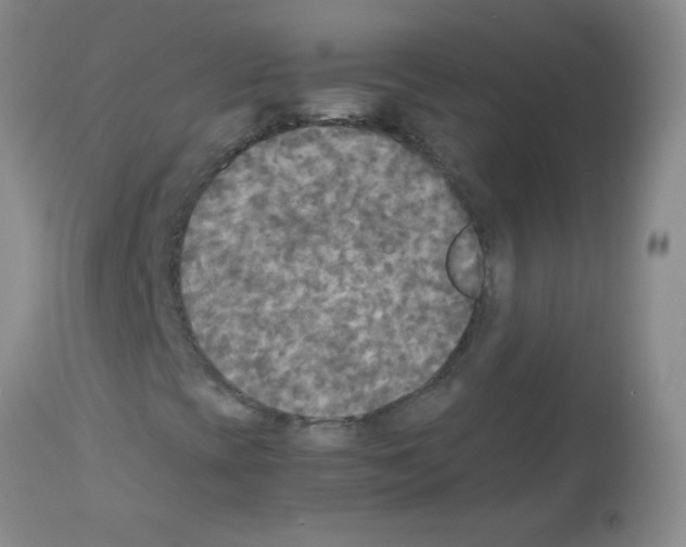 X0000113221393200910221115
