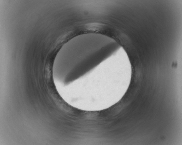 X0000113221394200910221115