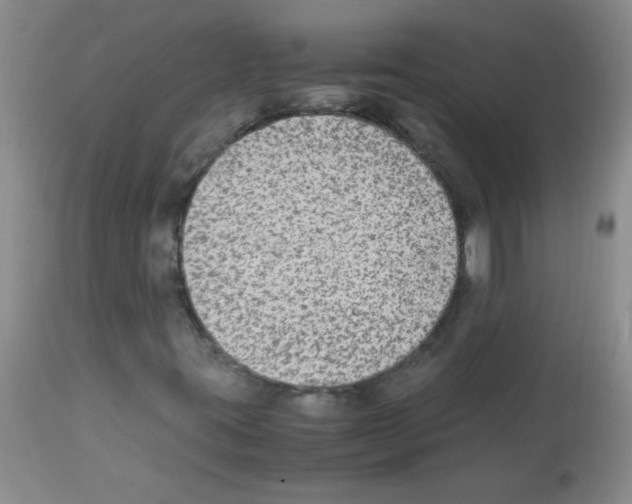 X0000113221395200910221115