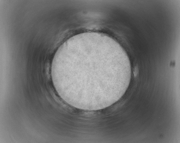 X0000113221396200910221115