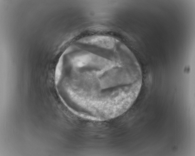 X0000113221397200910221115