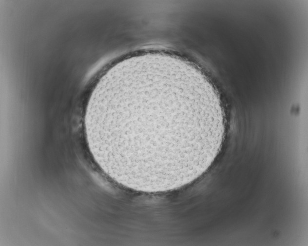 X0000113221400200910221115