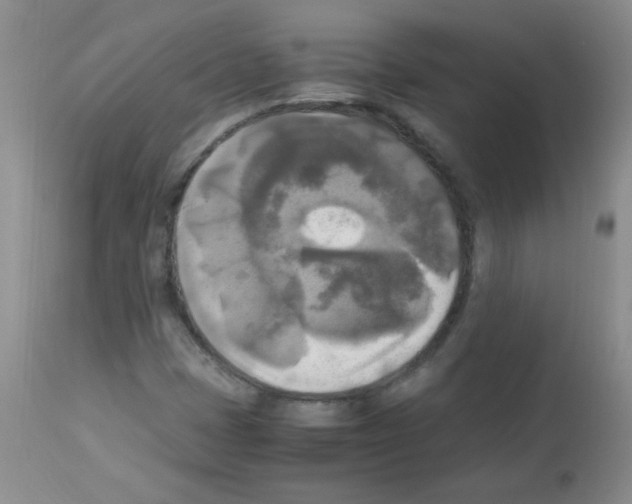 X0000113221401200910221115