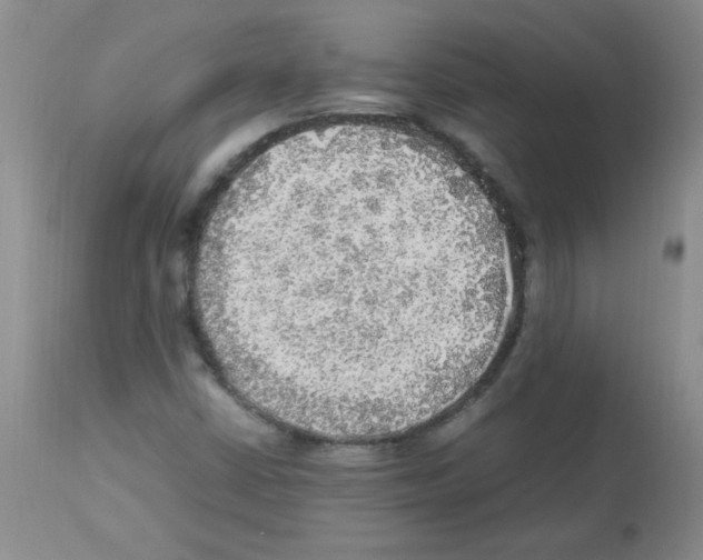 X0000113221402200910221115