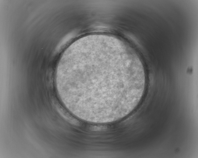 X0000113221403200910221115