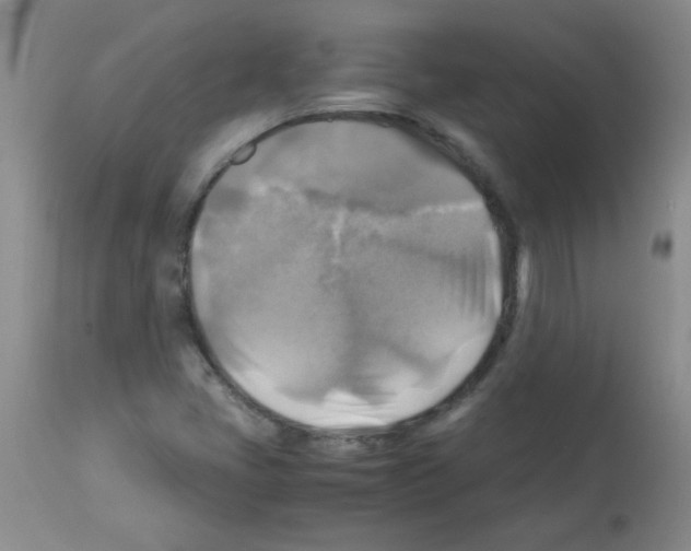 X0000113221405200910221115