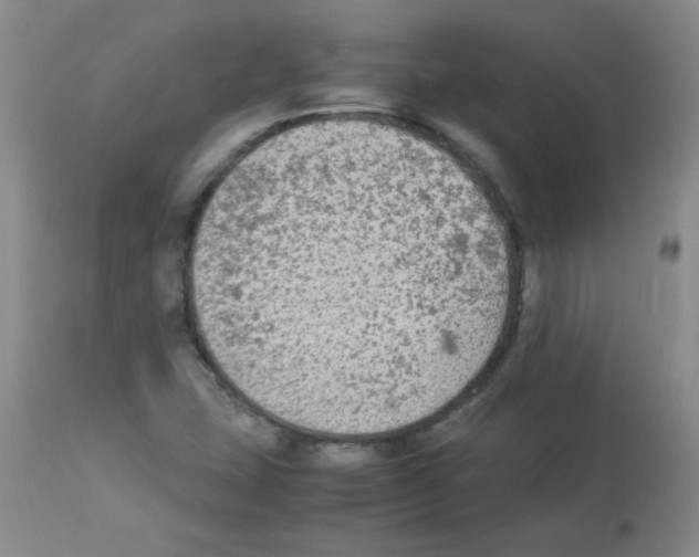 X0000113221407200910221115