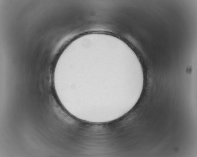 X0000113221408200910221115