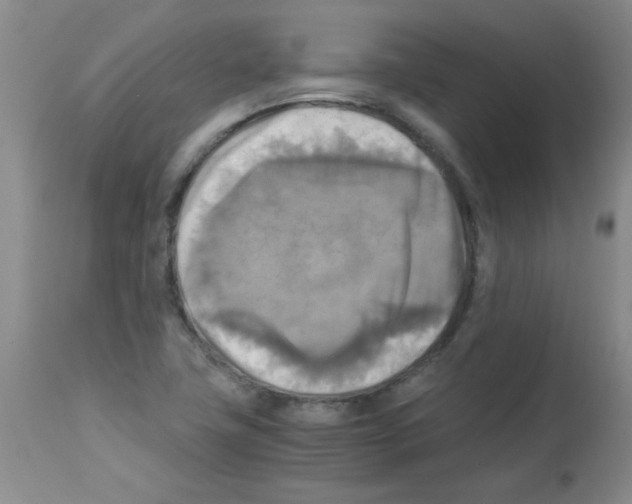 X0000113221411200910221115