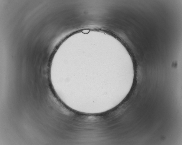 X0000113221412200910221115
