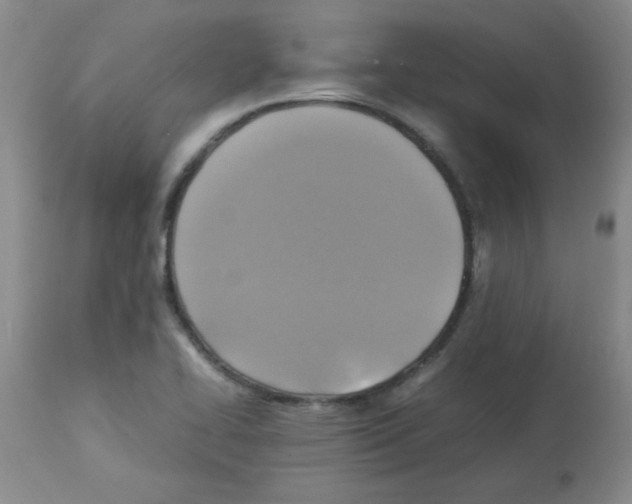 X0000113221414200910221115