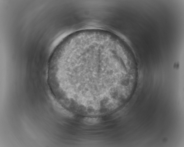 X0000113221415200910221115