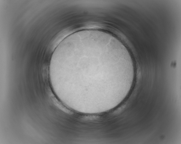 X0000113221417200910221115