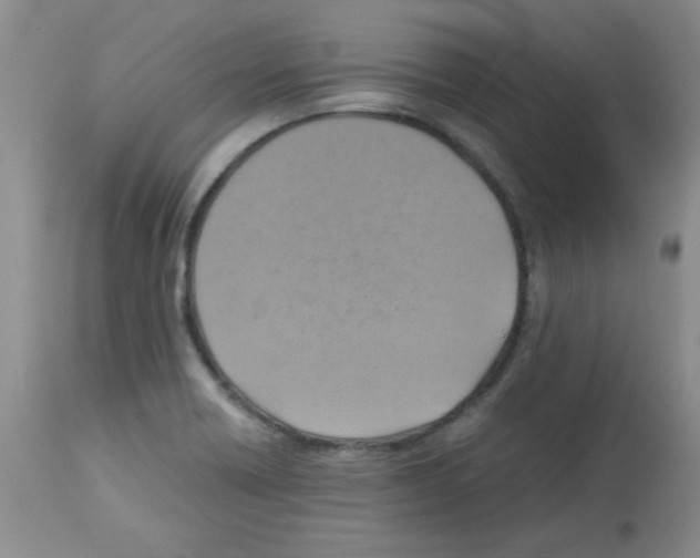 X0000113221418200910221115