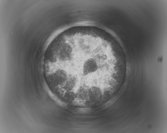 X0000113221421200910221115