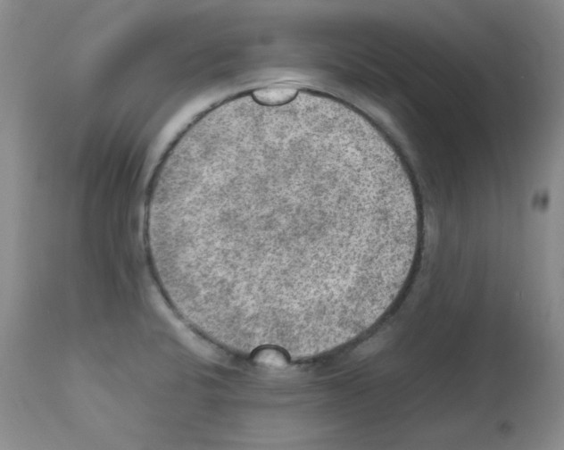 X0000113221424200910221115