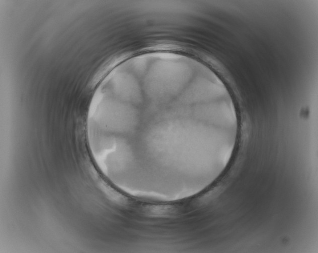 X0000113221425200910221115