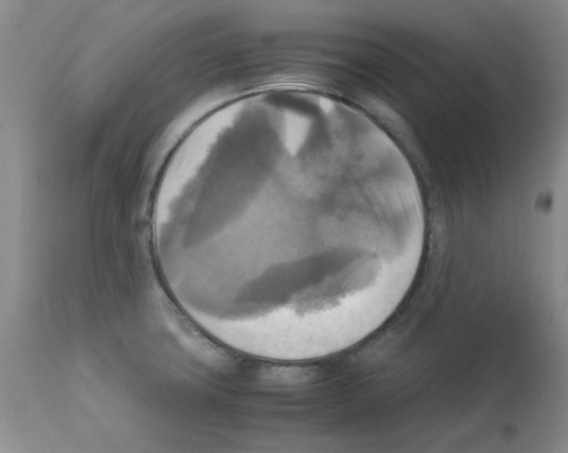X0000113221427200910221115