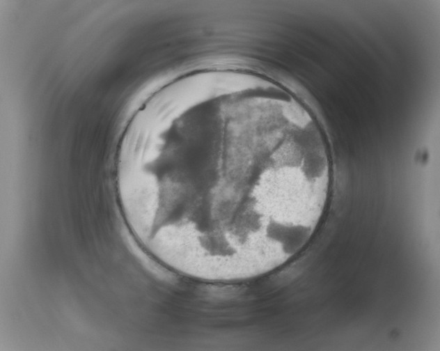 X0000113221429200910221115