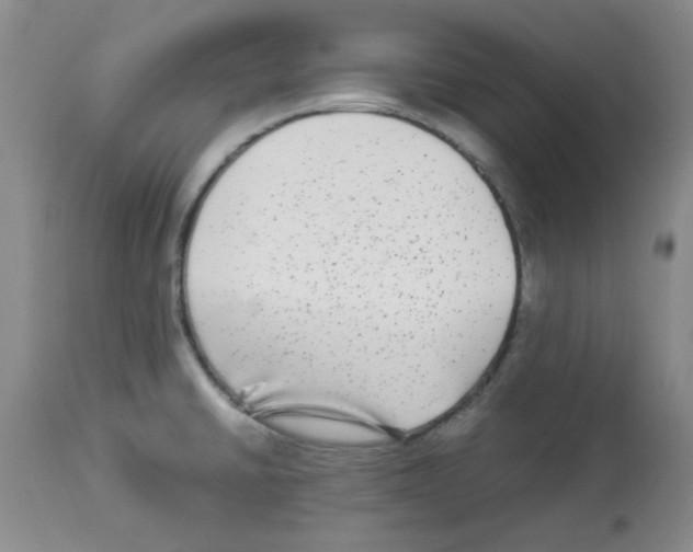 X0000113221430200910221115
