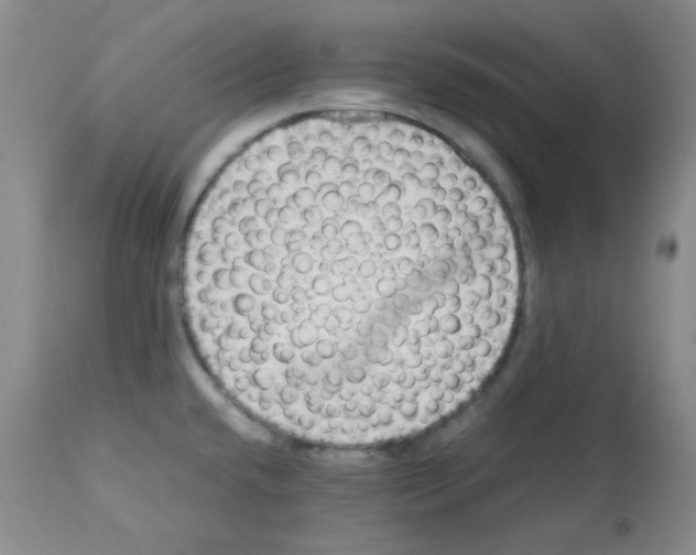 X0000113221432200910221115
