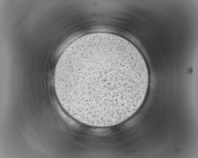 X0000113221433200910221115