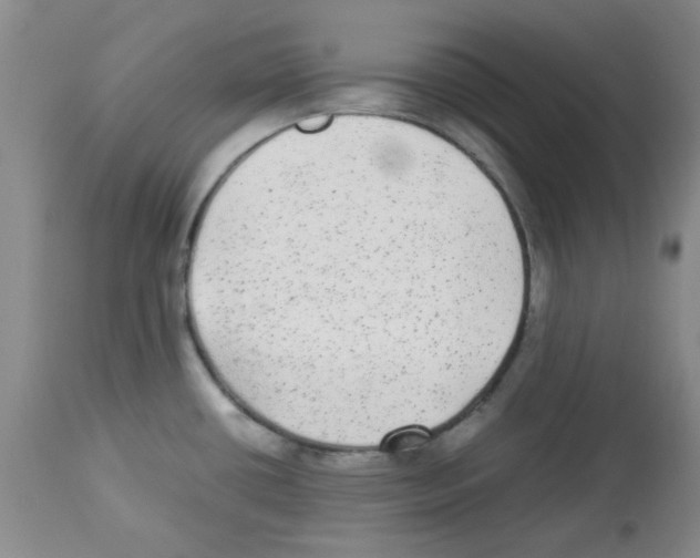 X0000113221434200910221115
