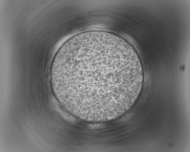 X0000113221435200910221115
