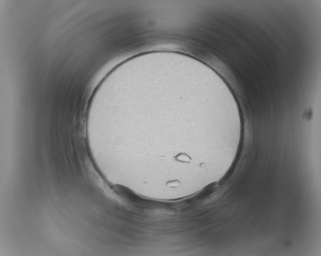X0000113221436200910221115