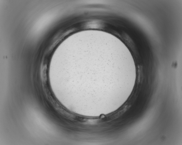 X0000113221438200910221115