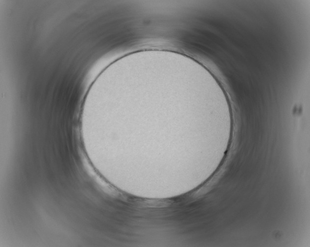 X0000113221440200910221115