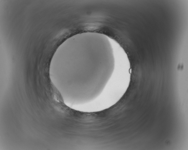 X0000113221441200910221114