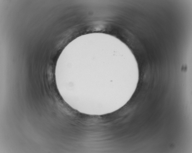 X0000113221442200910221114