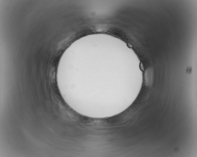X0000113221443200910221114