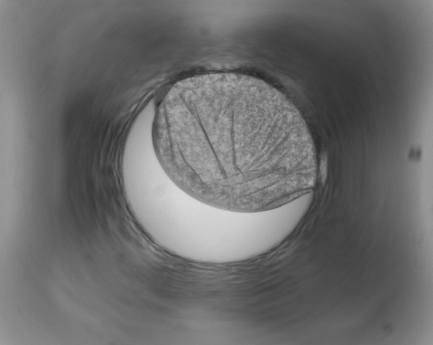 X0000113221444200910221114