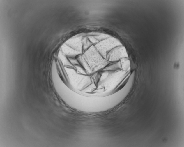 X0000113221445200910221114