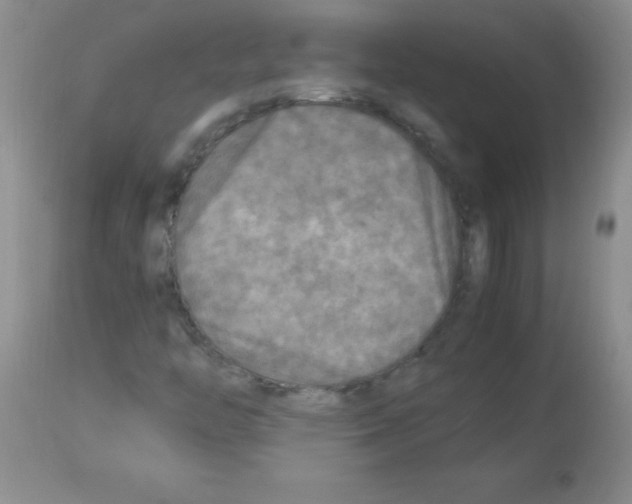 X0000113221446200910221114