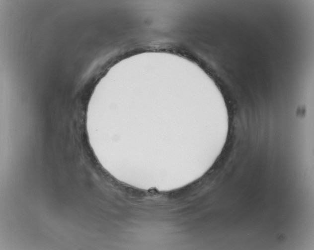 X0000113221447200910221114