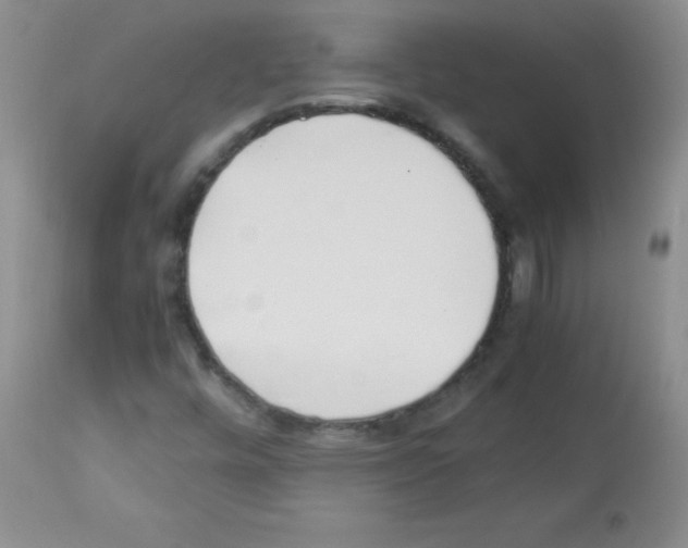 X0000113221448200910221114