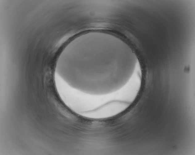 X0000113221449200910221114