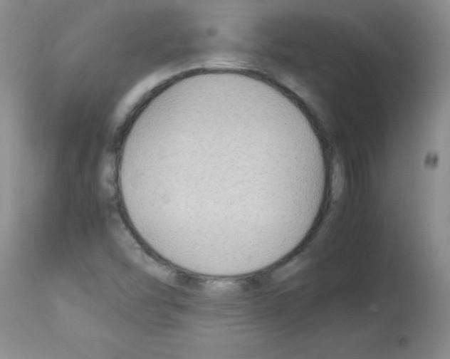 X0000113221454200910221114
