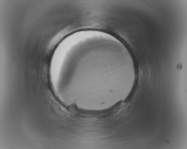 X0000113221455200910221114