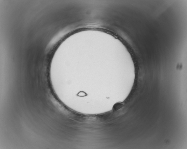 X0000113221456200910221114