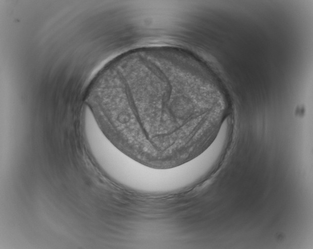 X0000113221457200910221114