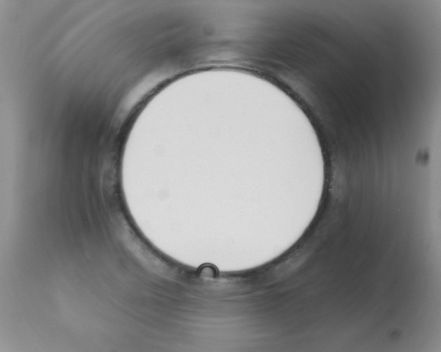 X0000113221458200910221114