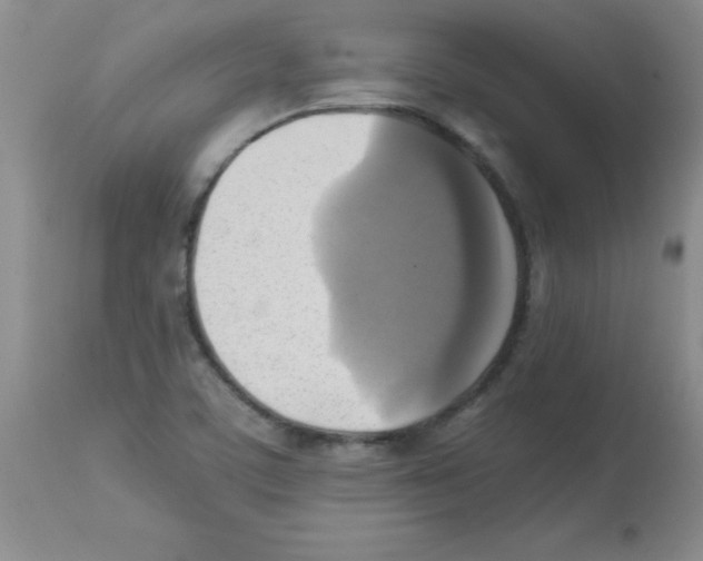 X0000113221459200910221114